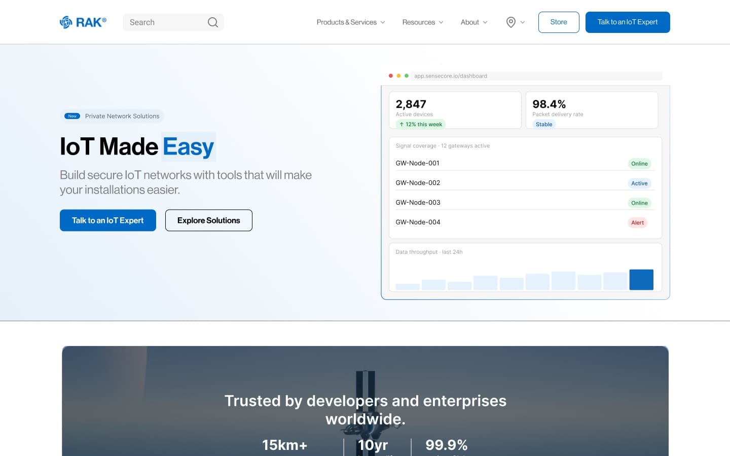 RAK — Website UI/UX & Design System, slide 1